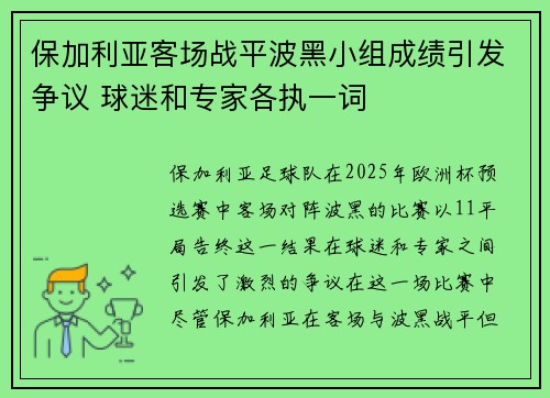 保加利亚客场战平波黑小组成绩引发争议 球迷和专家各执一词